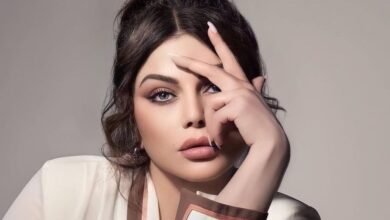 هيفاء وهبي تستعد لإحياء حفل جديد في الساحل الشمالي بمصر