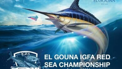صورة توضيحية - مصر تحتضن بطولة Red Sea IGFA لأول مرة في