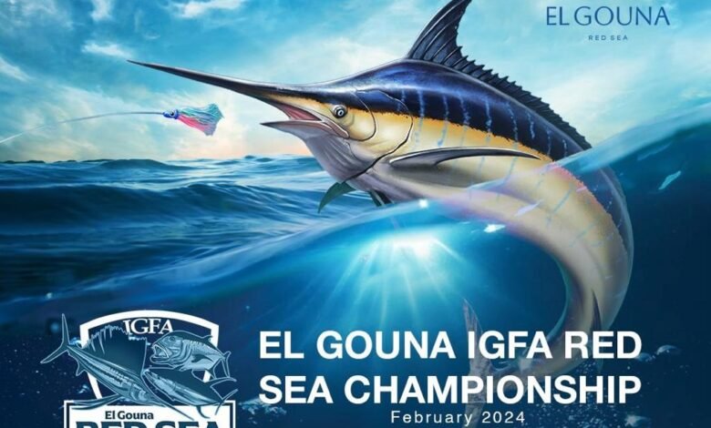 Photo of مصر تحتضن بطولة Red Sea IGFA لأول مرة في الشرق الأوسط