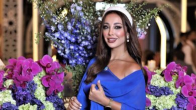 ساندي مارديني متابعة واسعة عبر مواقع التواصل الإجتماعي