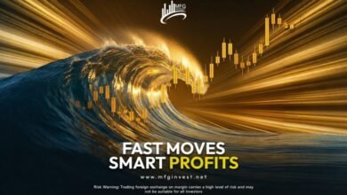 شركة MFGinvest تعتمد نهجًا مبتكرًا في إدارة الأصول والاستثمار