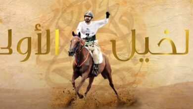 (قصتي) يعرض مراحل حياة محمد بن راشد على مدار ٥٠ حلقة!
