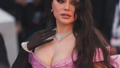 هيفا وهبي تخطف الأنظار و تبدو كأميرات أحلام ديزني في مهرجان كان العالمي